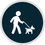 cãominhada